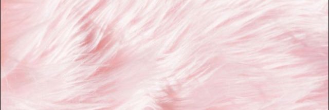 reneeravan's profile banner image