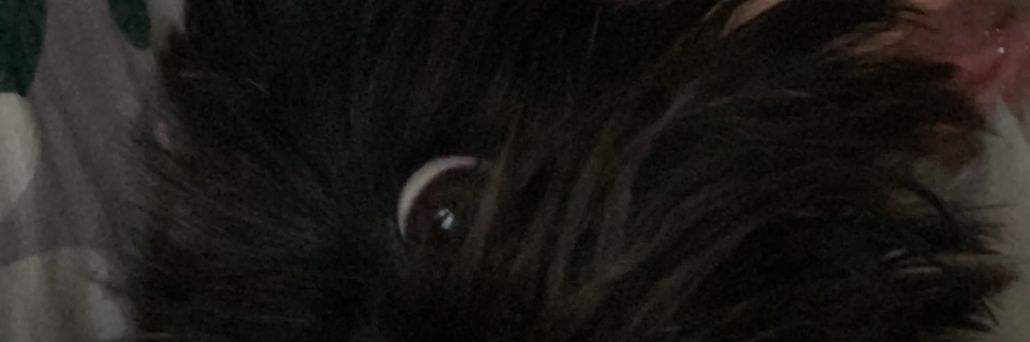 Abbymn09's profile banner image