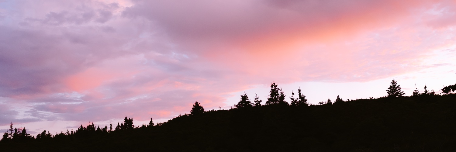 Carter Hutton banner