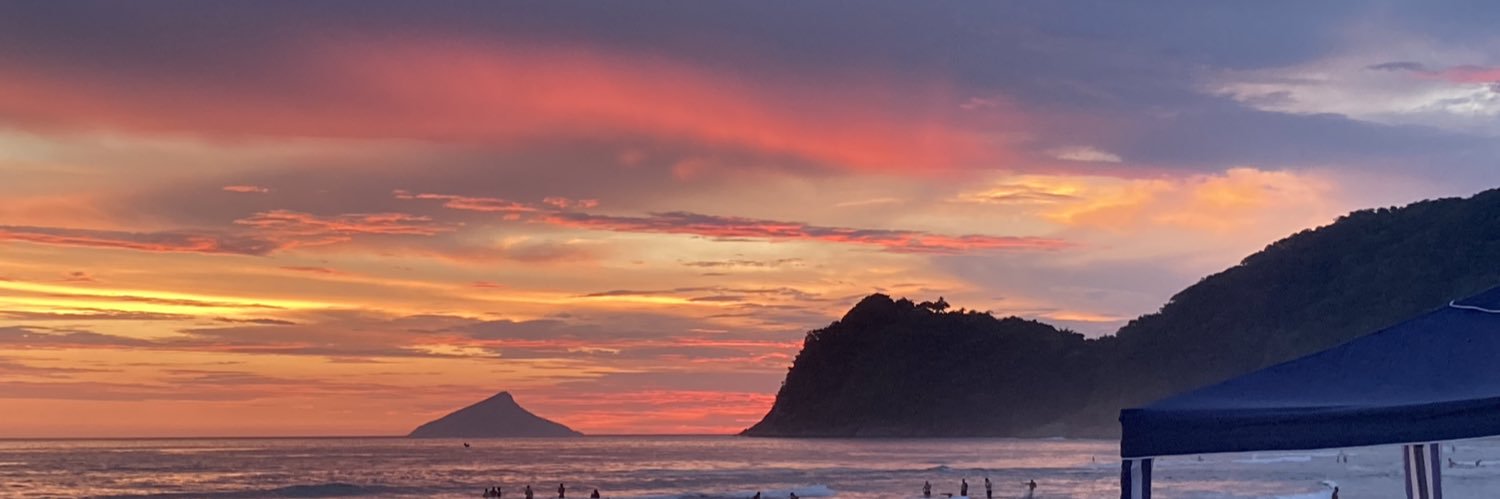 pulgapoffo's profile banner image