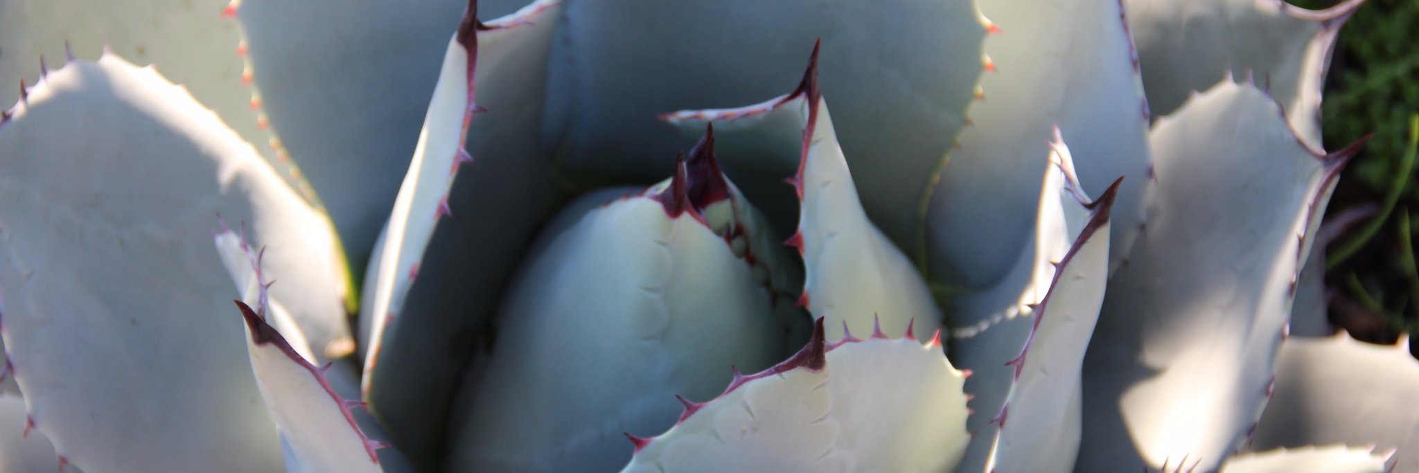 ajselbo's profile banner image