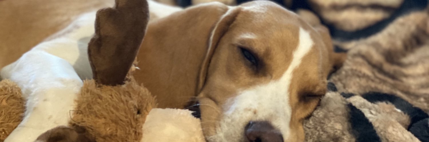 Cluck_Avery's profile banner image