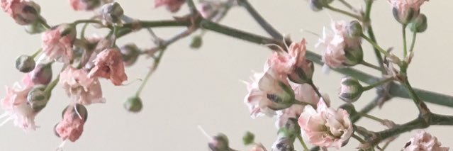 riawinterswijk's profile banner image