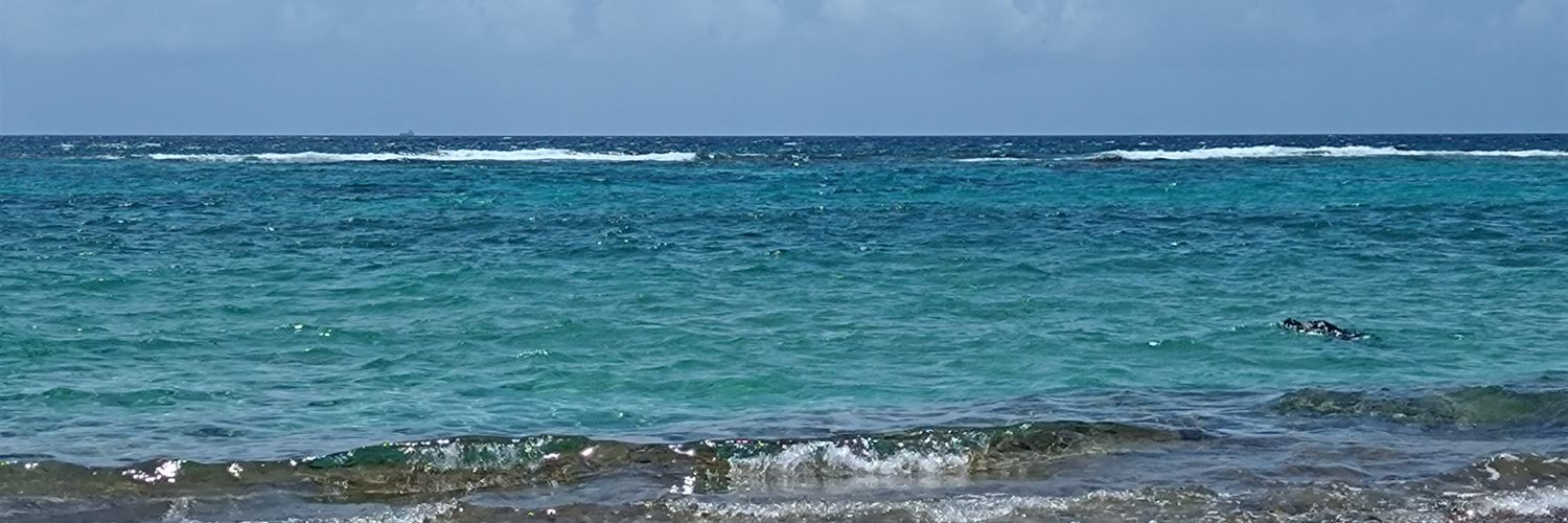 j_ninoc's profile banner image