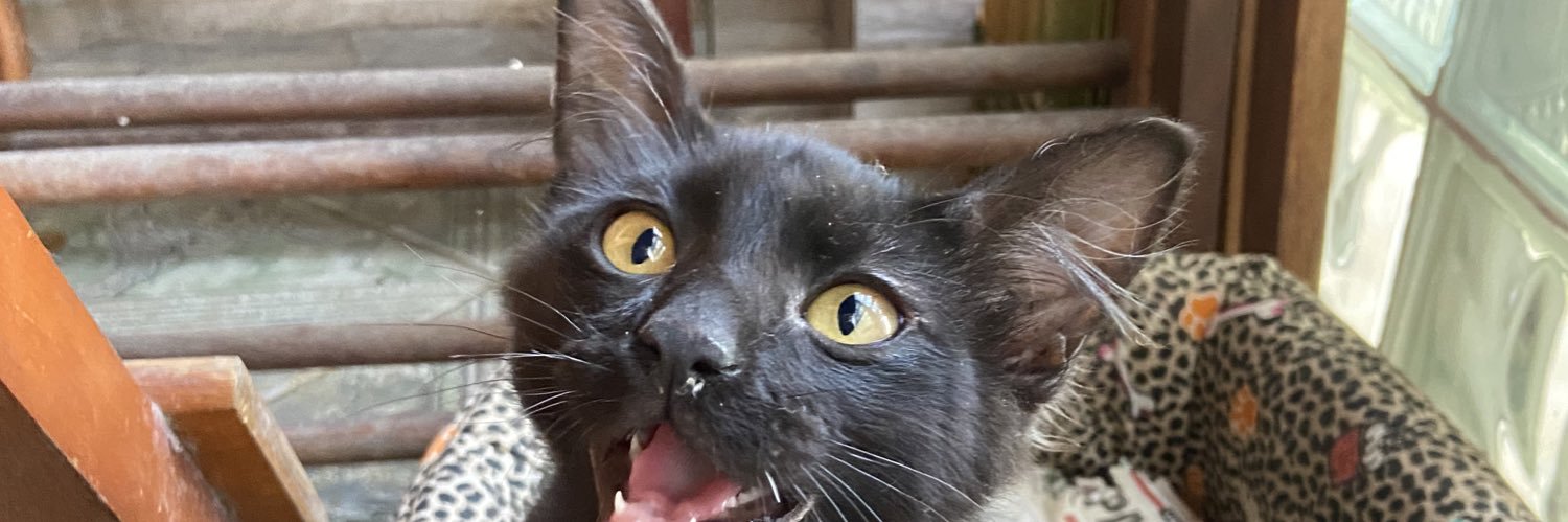DjuliaMG's profile banner image