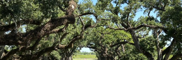 HamzaSayedAli Profile Banner