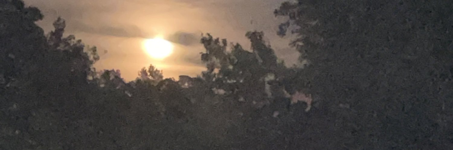 Enoughgrace's profile banner image