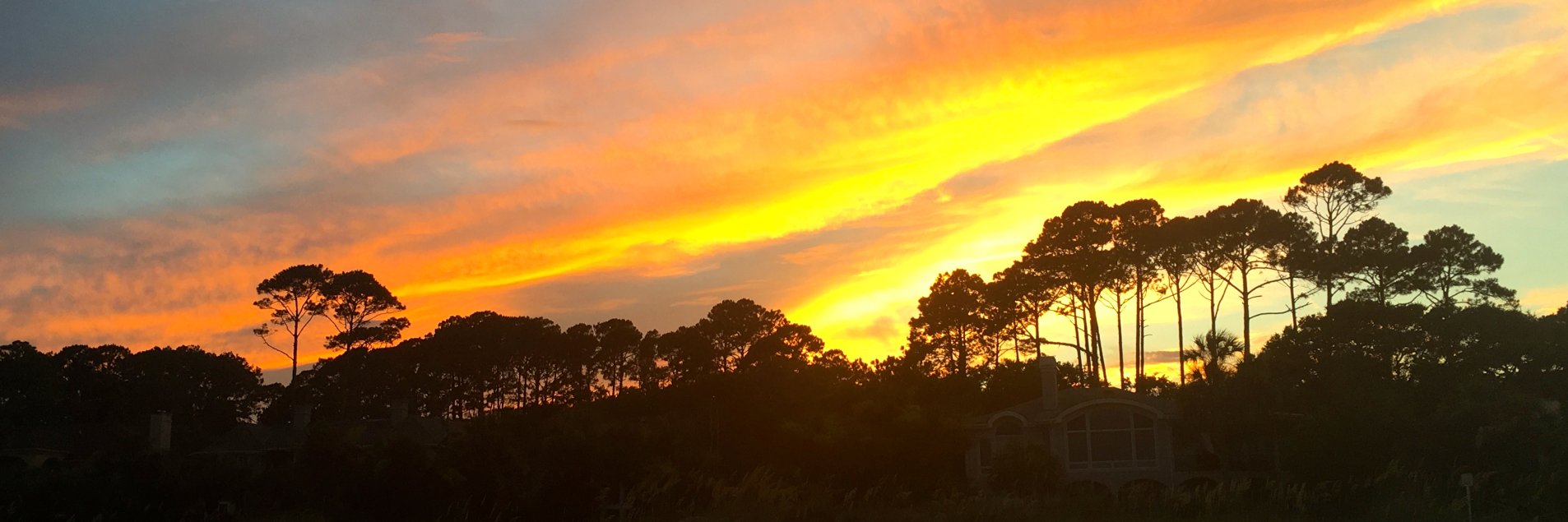 RoseKatharine's profile banner image