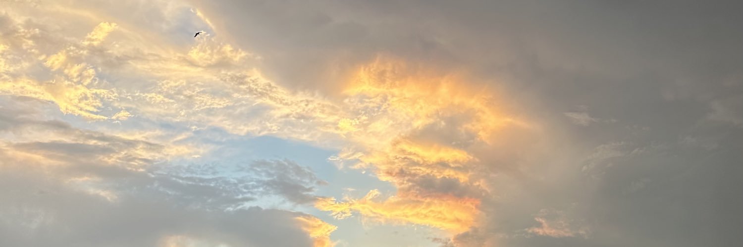 louiseallyn's profile banner image