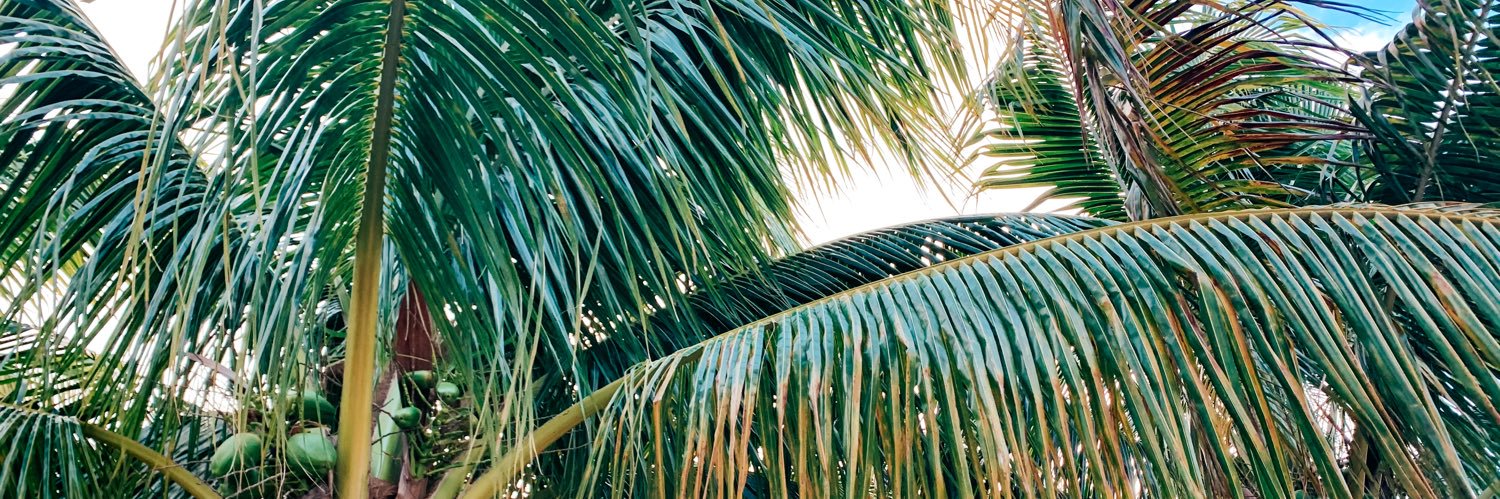 kourtneylately's profile banner image