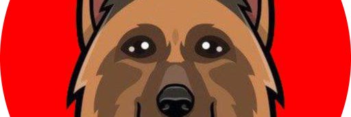 shepherdinubsc's profile banner image