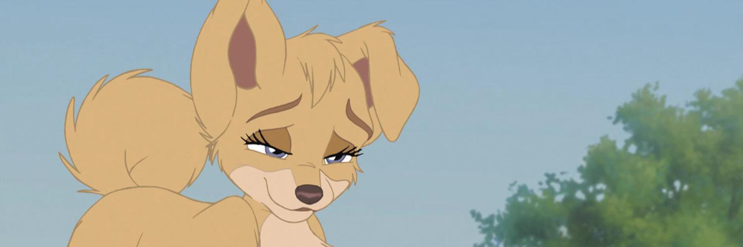 AReadingRose's profile banner image
