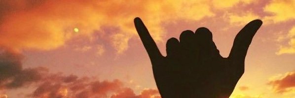 Gary Surfer (ret) 😎 banner
