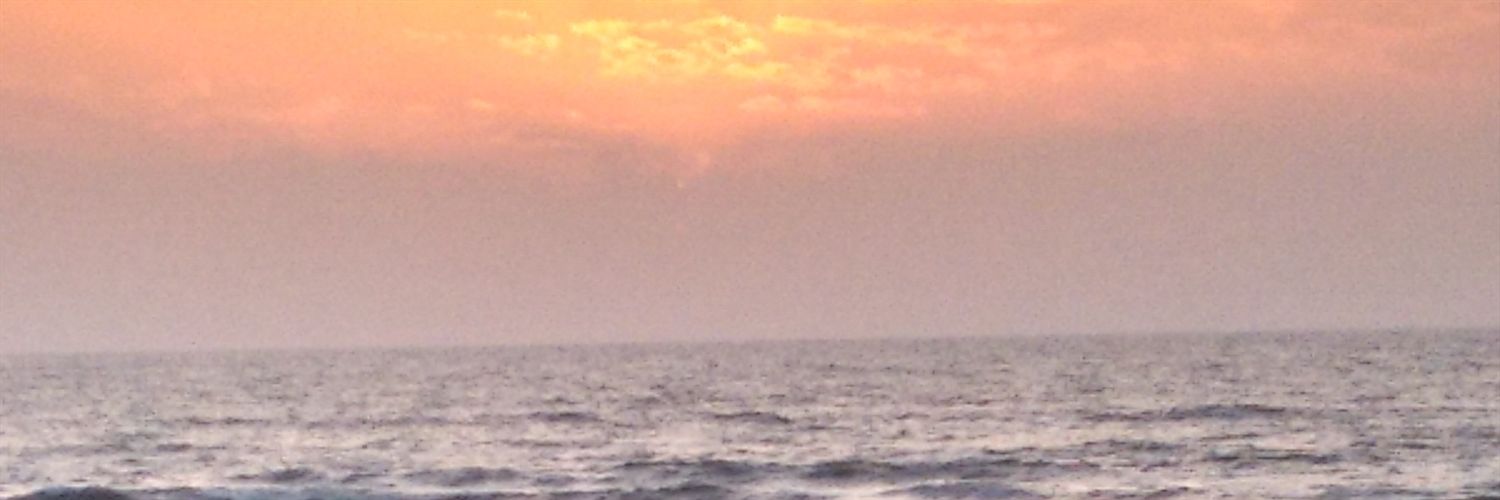 ankitarath1095's profile banner image