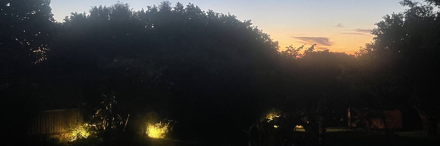 dansim8's profile banner image