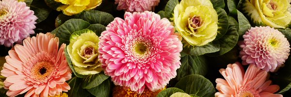 DOA_KAMEN Profile Banner