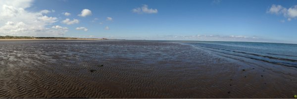 be8no121 Profile Banner