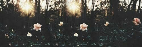 ah_moratoo's profile banner image