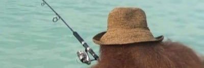 elirymagee's profile banner image