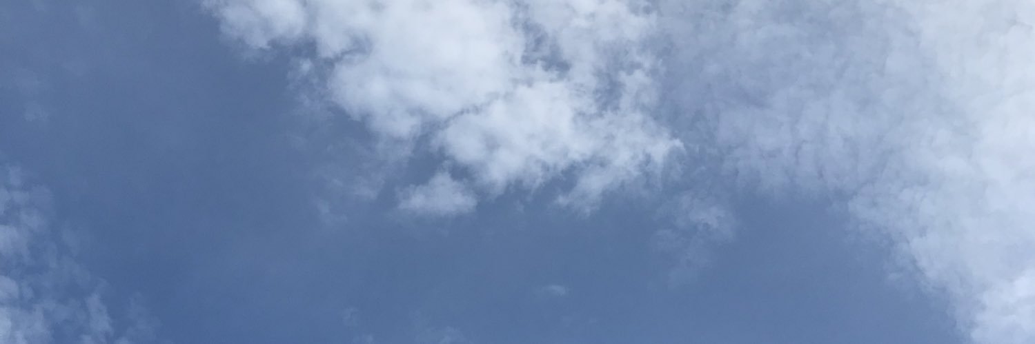 半てん@ᔦ๑° ꒳ °๑ᔨ banner