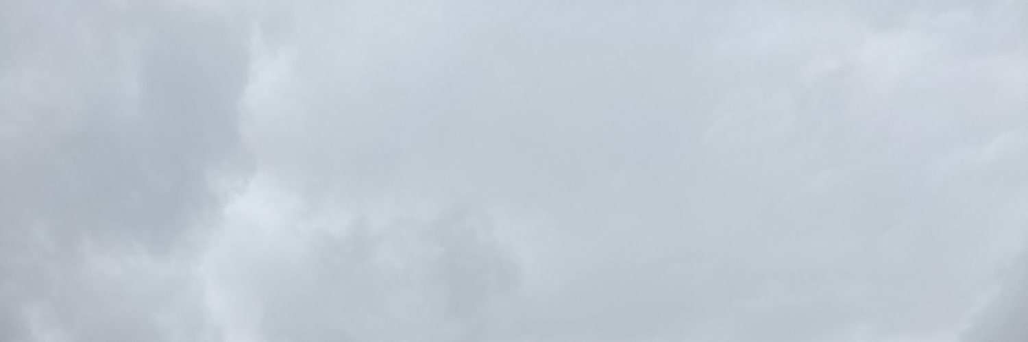 lillysversion's profile banner image