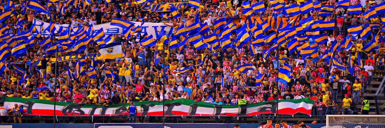 chemaatorres's profile banner image