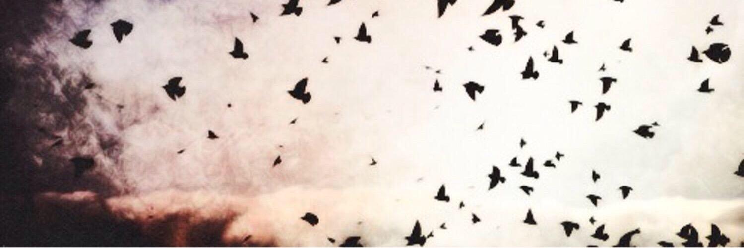 jakejsnvgdr's profile banner image