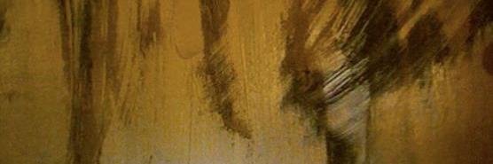 anarodic's profile banner image