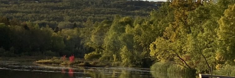 Jena Johnson banner