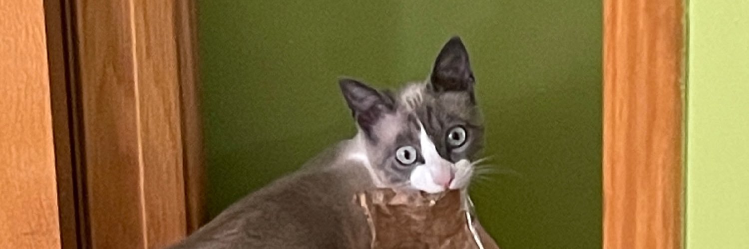LoufterF's profile banner image