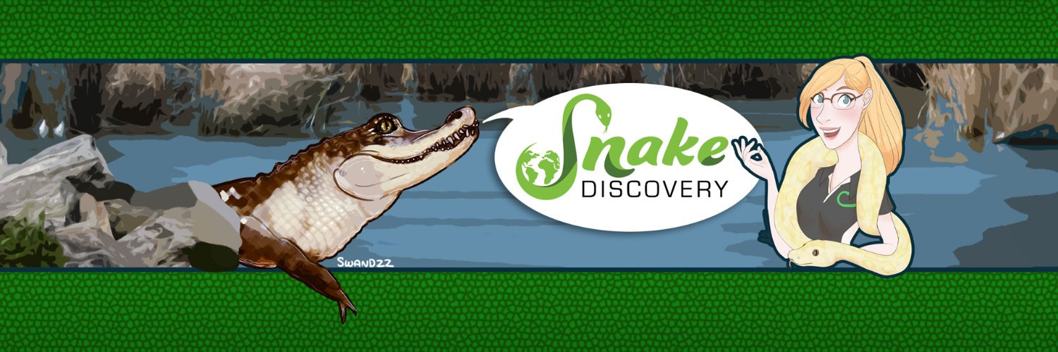 Snake Discovery banner