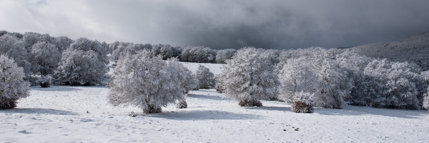 JGardnerPhoto's profile banner image