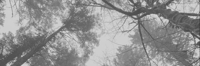 JessipBenitez's profile banner image