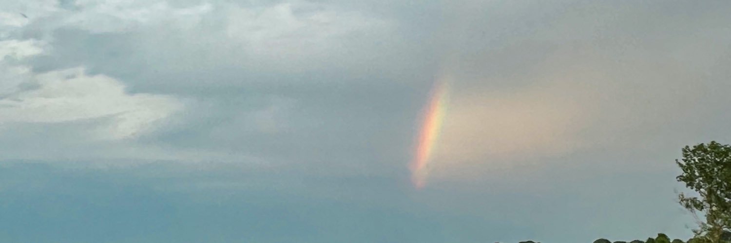 HiExpectasianz's profile banner image