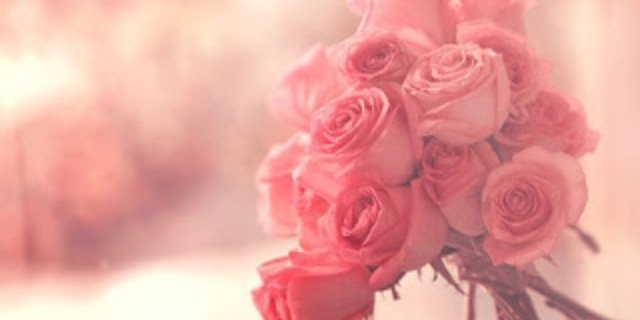 ShariieNV's profile banner image