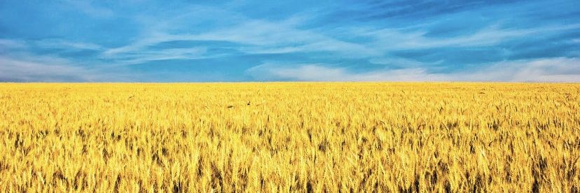 osinski_andrzej's profile banner image