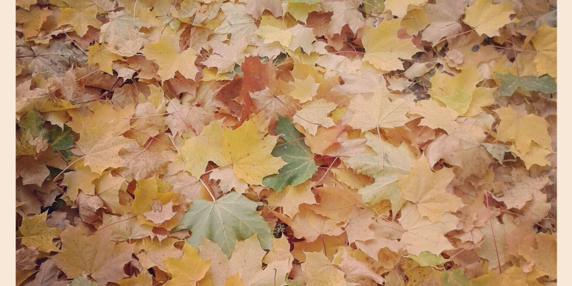 markgysiller's profile banner image