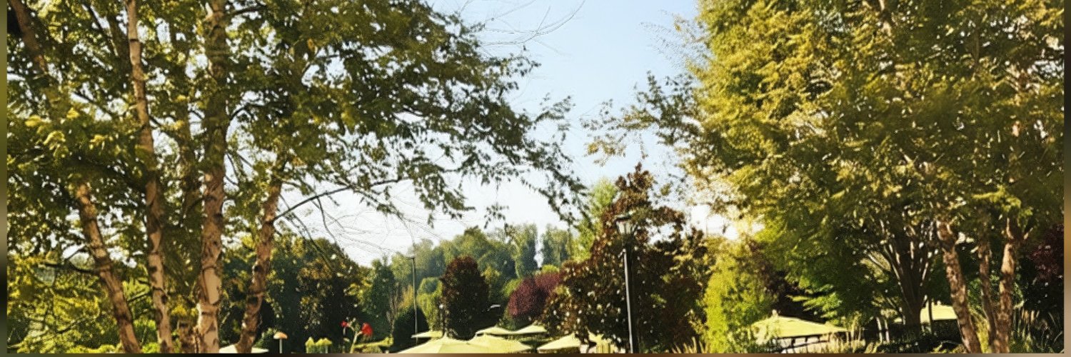 wordsbyM's profile banner image
