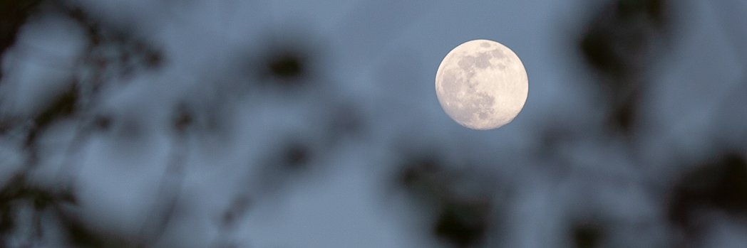 SFraczkowski's profile banner image