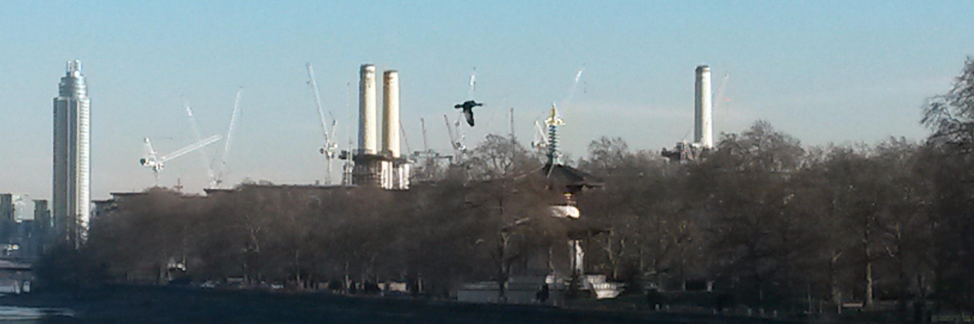 nicola nardelli banner