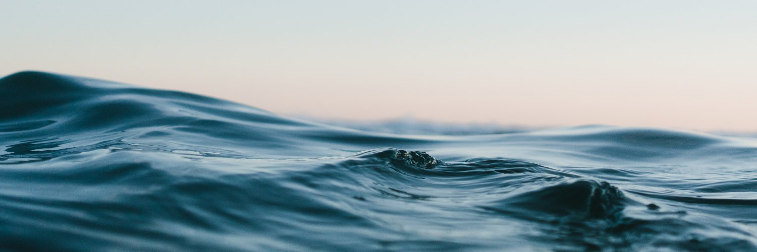 Fundación  Acuorum banner