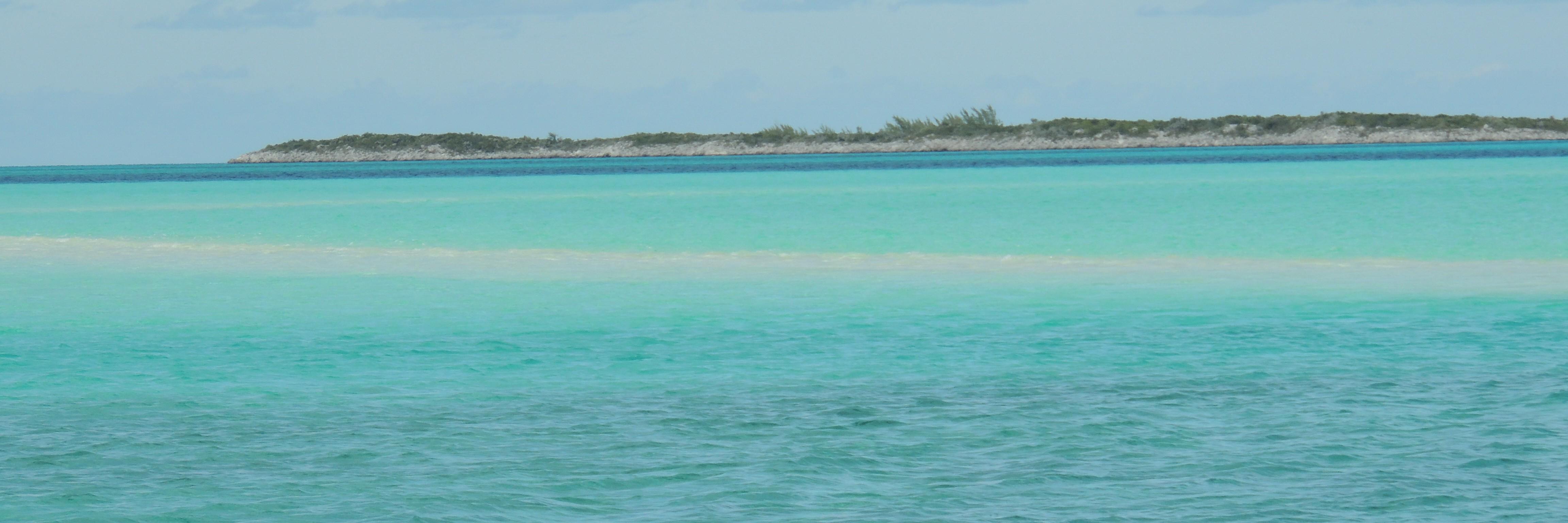 ErikaBet's profile banner image