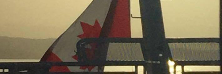 VioMed4's profile banner image