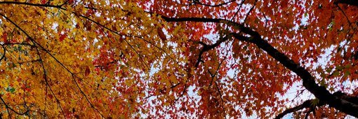 0648Patel's profile banner image