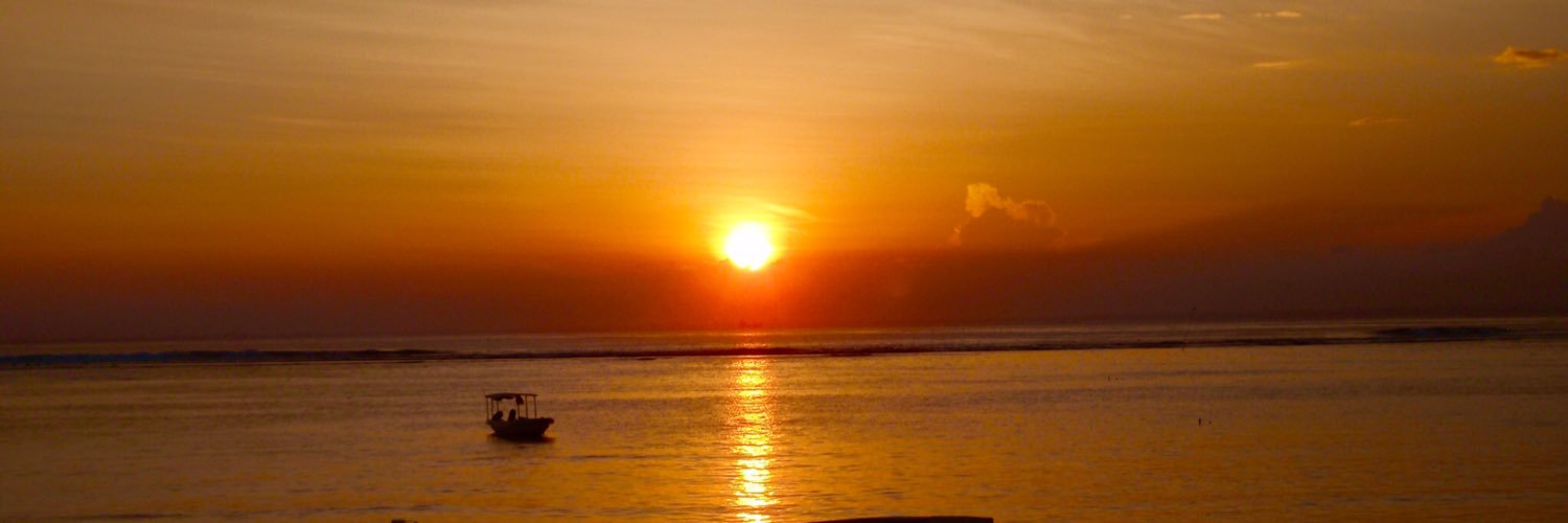carolinescasey's profile banner image