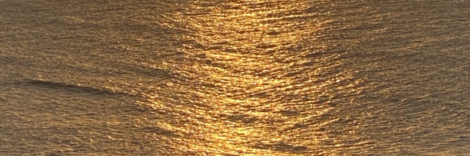 SnoogleMcDoogle's profile banner image