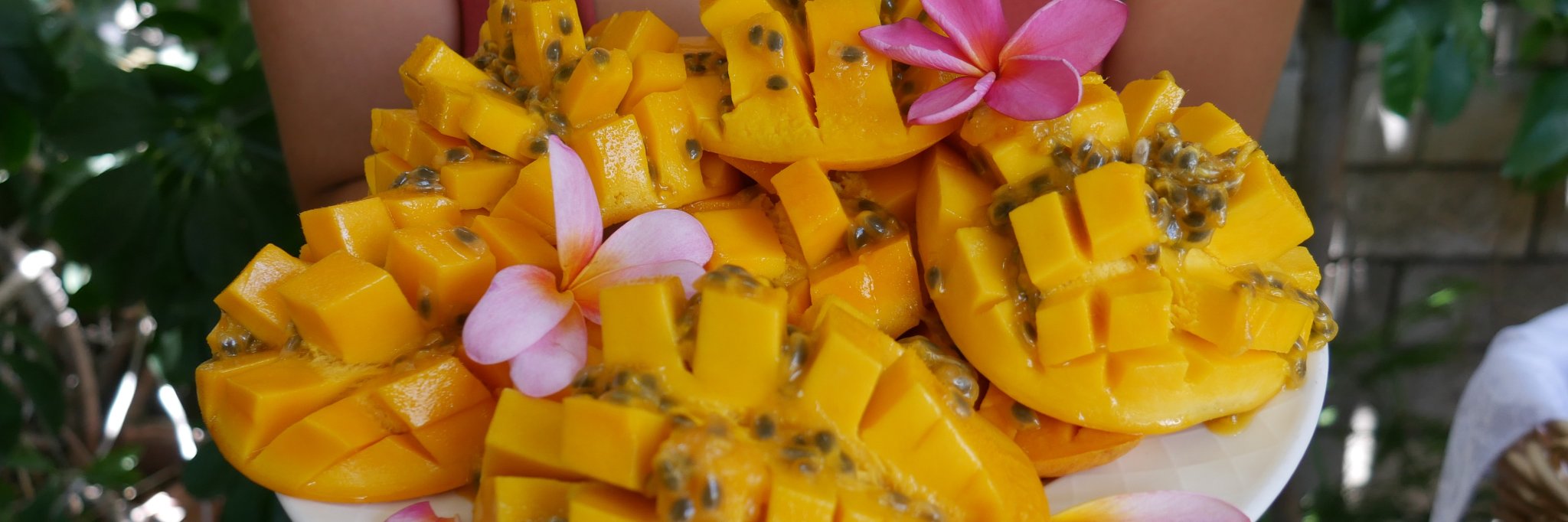 Devyn Michele Howard banner