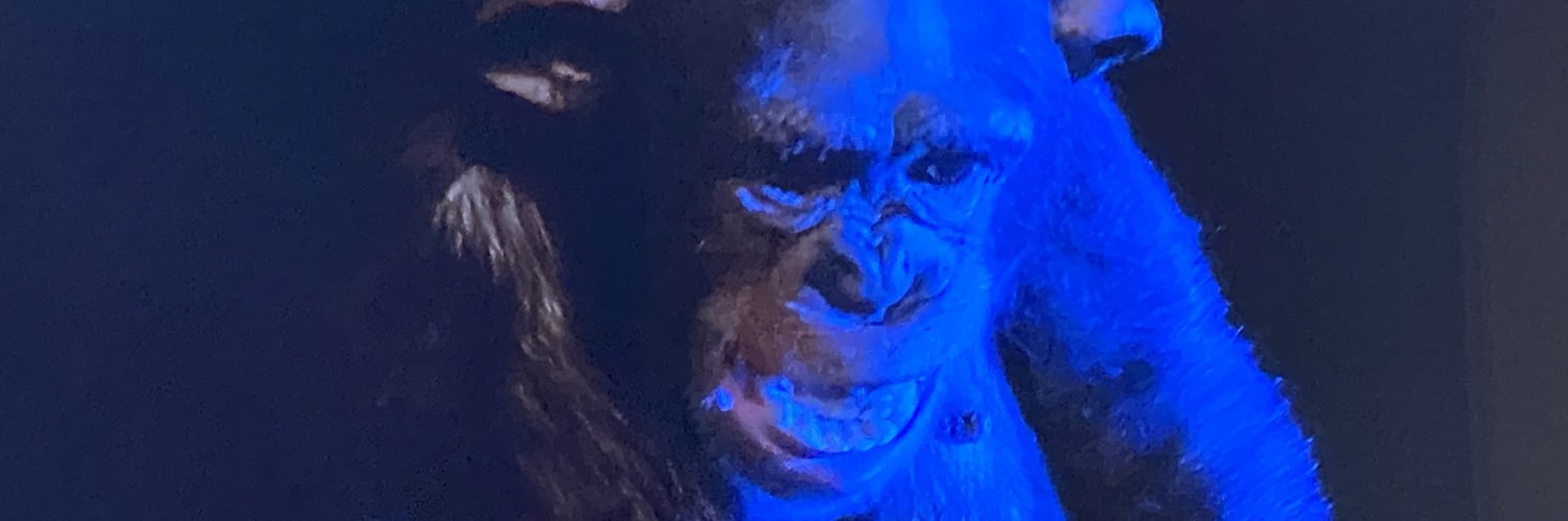 Tim Vargulish-Chow banner