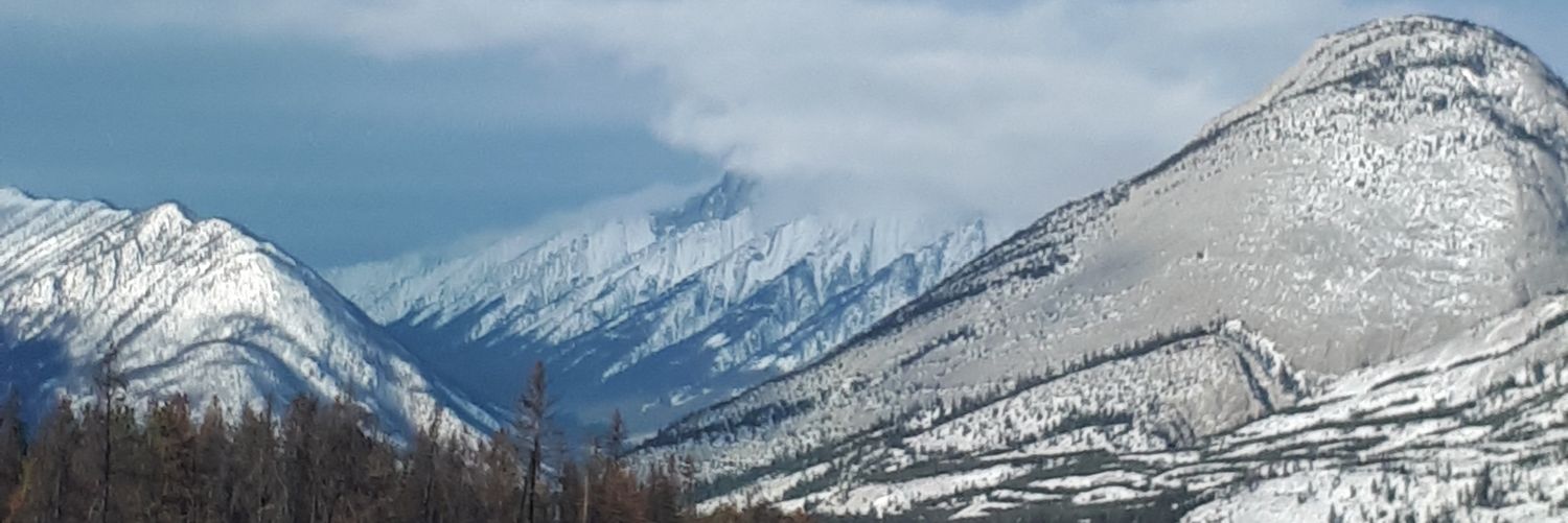 mpbuick's profile banner image