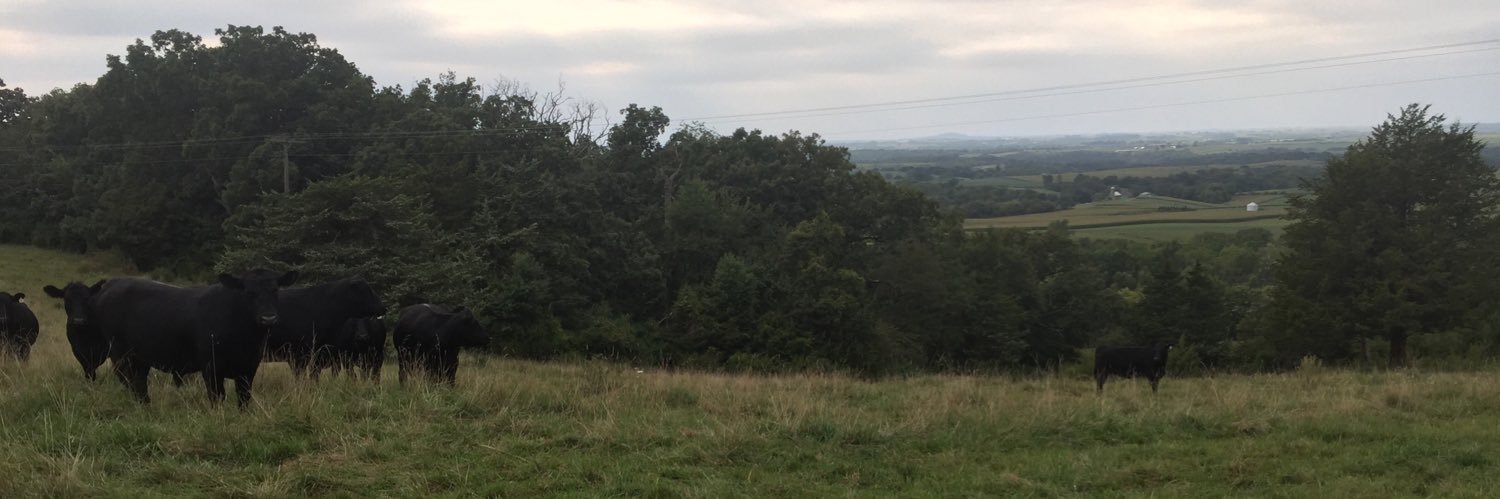 Matt Stienstra banner